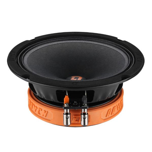 DL Audio Raven 165