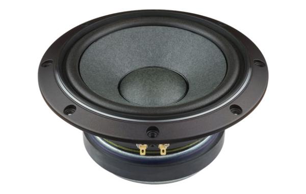 Fostex FW208HS