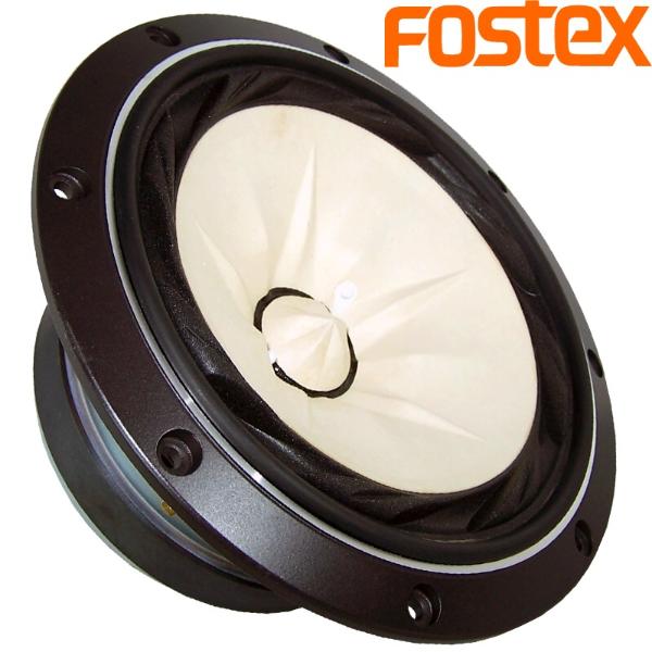 Fostex FE208EZ