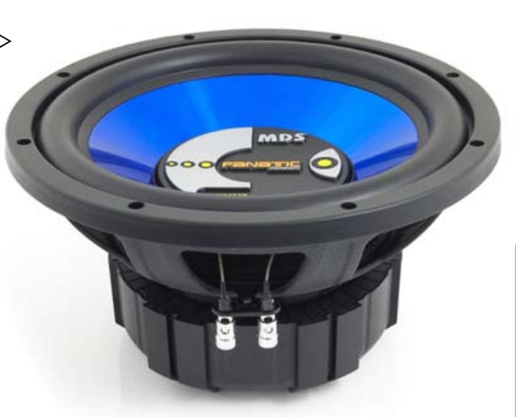 mds subwoofer 12