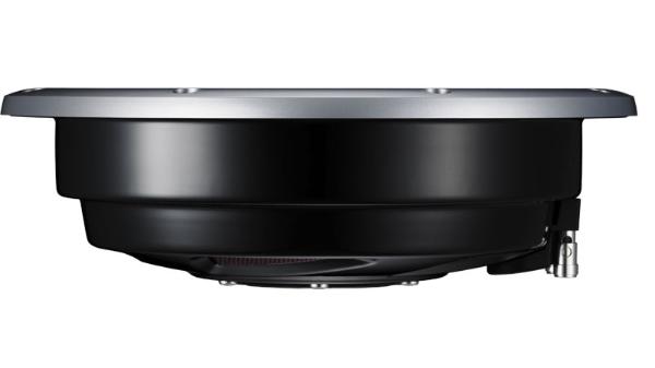 Pioneer TS-SW301