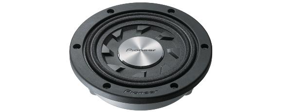 Pioneer TS-SW841D
