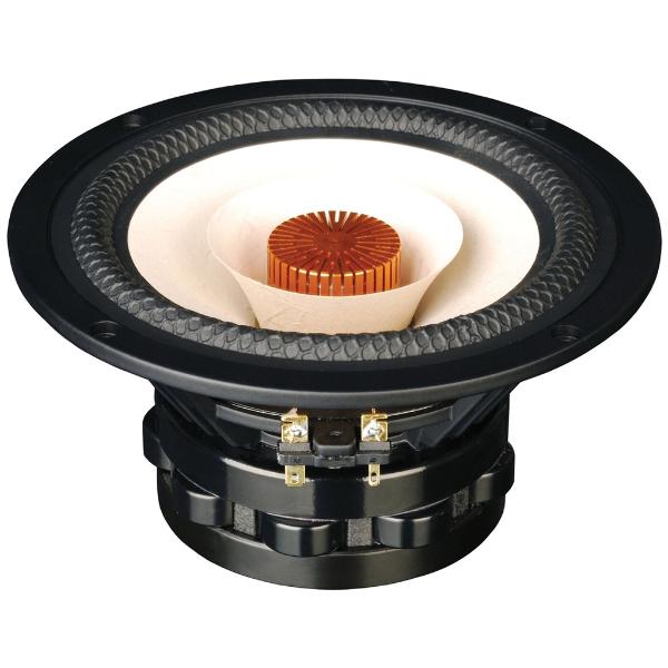 Tang Band W6-1916