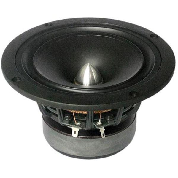Tang Band W5-1611SAF