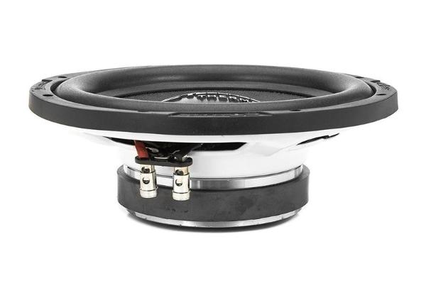 CT Sounds THERMO 10 D4
